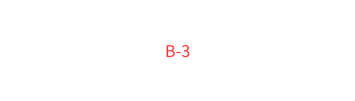 B 3